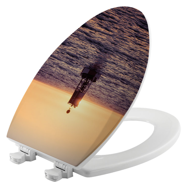 House & Homebody Co. Elongated Toilet Seat and Lid Wayfair Canada